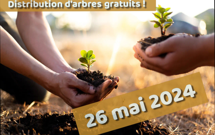 Arbres 26 mai 2024